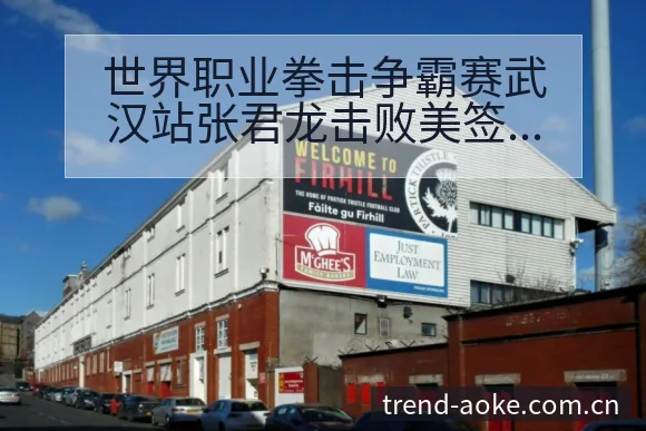 世界职业拳击争霸赛武汉站张君龙击败美签表路径与晋级前景排 - 澳客官网