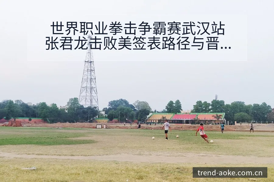 世界职业拳击争霸赛武汉站张君龙击败美签表路径与晋级前景排 - 澳客官网